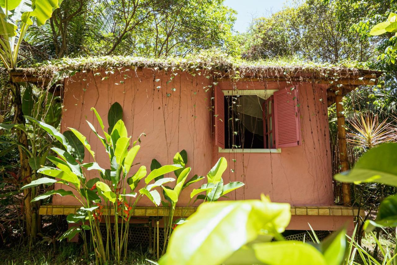 Butterfly House Bahia 호텔 마라우 외부 사진