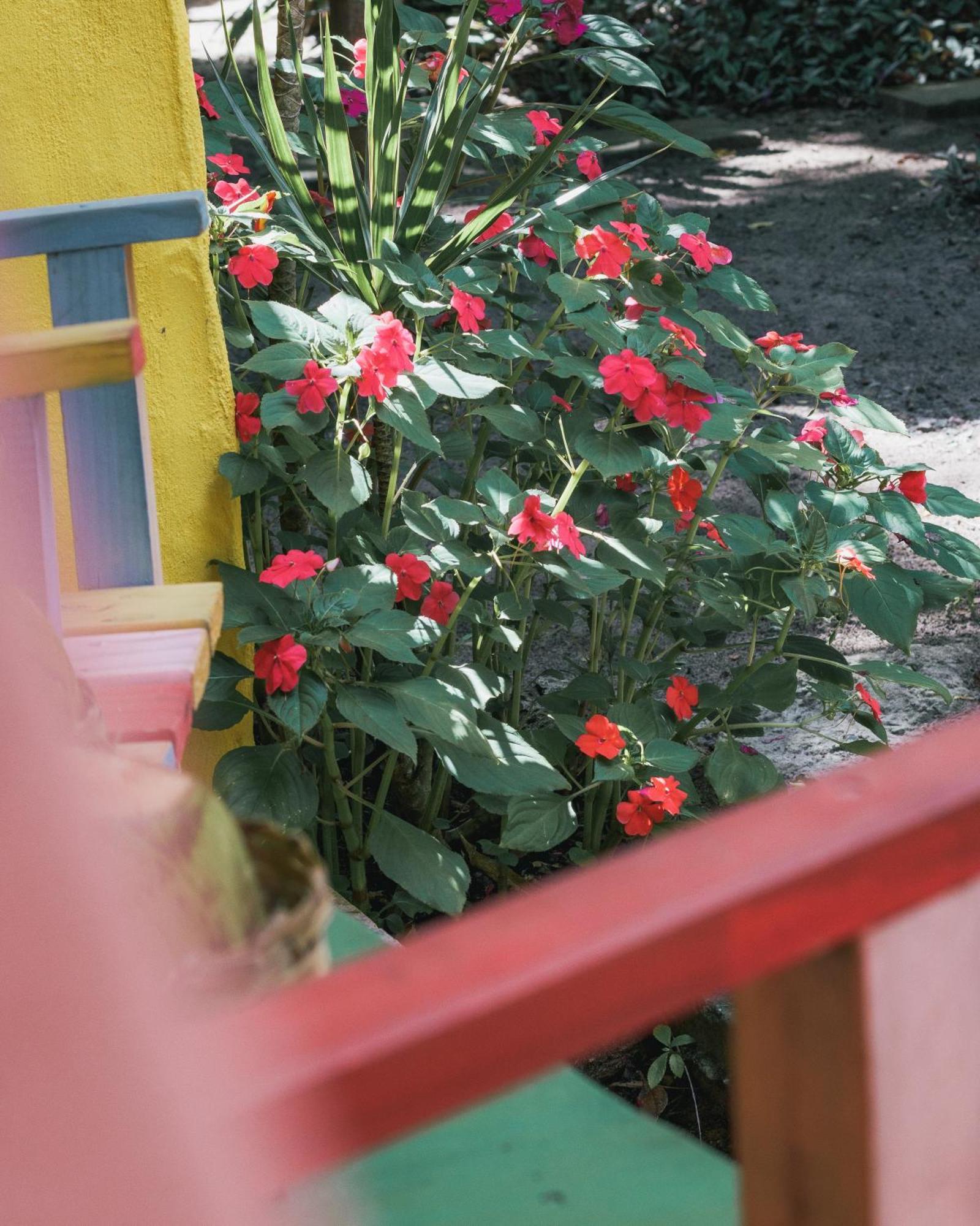 Butterfly House Bahia 호텔 마라우 외부 사진